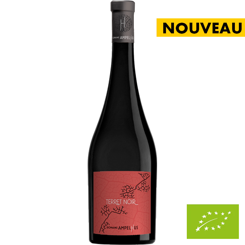 Languedoc - Domaine Ampelhus - Terret Noir 2022 🚨26 bouteilles disponibles🚨