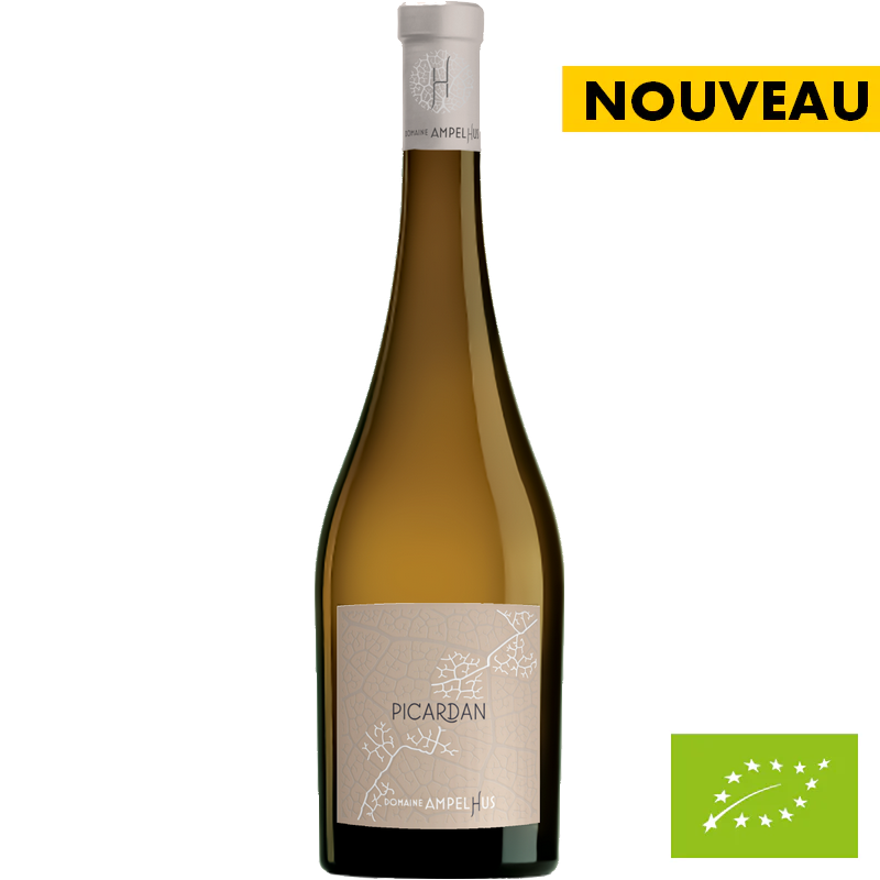 Vin de France - Domaine Ampelhus - Picardan Blanc 2023