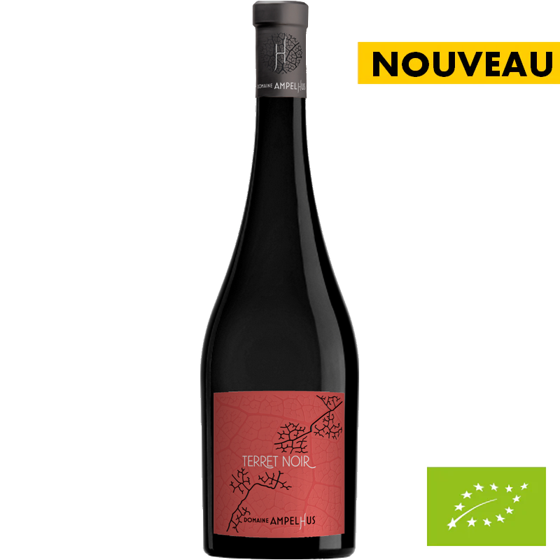 Languedoc - Terret Noir 2024 - Domaine Ampelhus 🚨15 bouteilles disponibles🚨