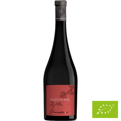 Languedoc - Piquepoul Noir 2023 - Domaine Ampelhus 🚨9 bouteilles disponibles🚨