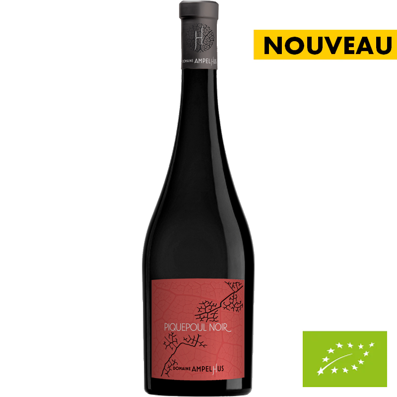 Languedoc - Piquepoul Noir 2023 - Domaine Ampelhus 🚨25 bouteilles disponibles🚨