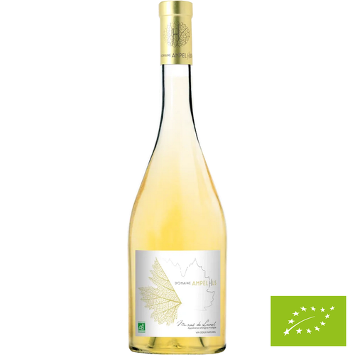 Muscat de Lunel Blanc - Domaine Ampelhus 🚨3 bouteilles disponibles🚨