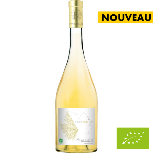 Muscat de Lunel - Domaine Ampelhus 🚨15 bouteilles disponibles🚨