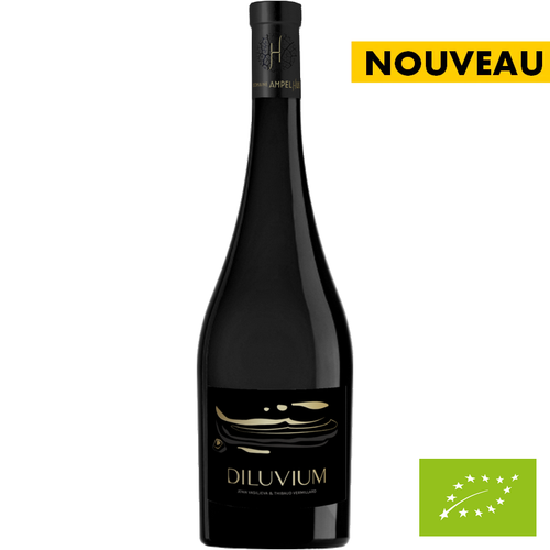 Vin de France - Diluvium 2022 - Domaine Ampelhus 🚨10 bouteilles disponibles🚨
