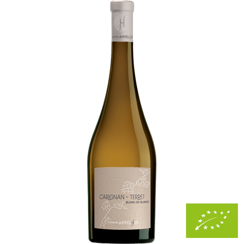 Vin de France - Carignan & Terret blanc 2024 - Domaine Ampelhus