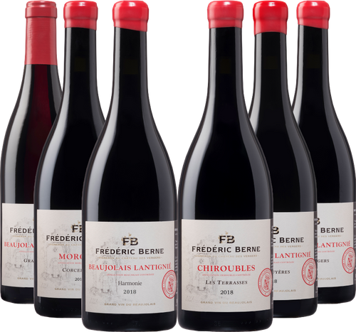 Frédéric Berne - Carton découverte 6 cuvées rouges 2018