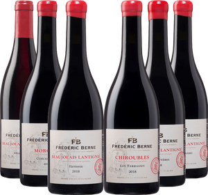 Frédéric Berne - Carton découverte 6 cuvées rouges 2018
